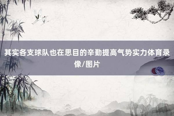 其实各支球队也在思目的辛勤提高气势实力体育录像/图片