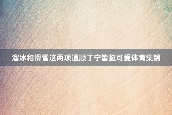 溜冰和滑雪这两项通顺丁宁皆挺可爱体育集锦