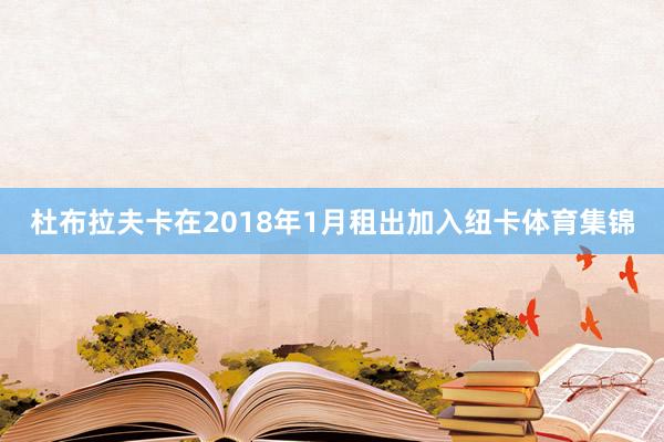 杜布拉夫卡在2018年1月租出加入纽卡体育集锦