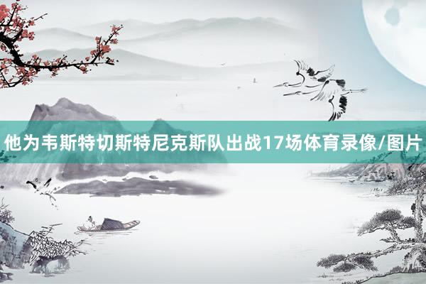 他为韦斯特切斯特尼克斯队出战17场体育录像/图片