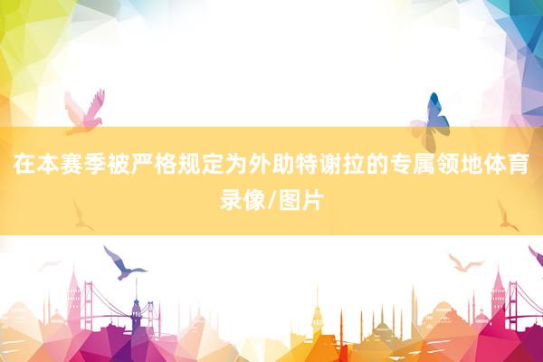 在本赛季被严格规定为外助特谢拉的专属领地体育录像/图片