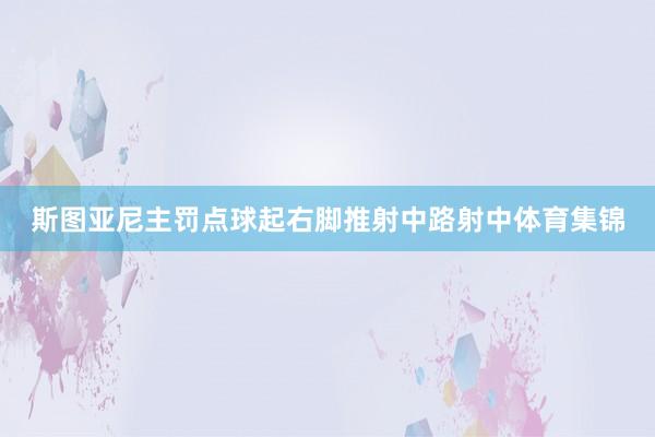 斯图亚尼主罚点球起右脚推射中路射中体育集锦