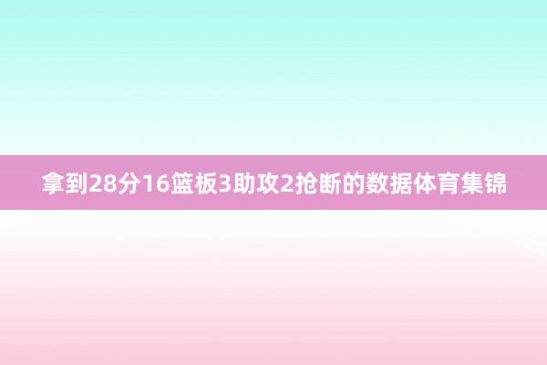 拿到28分16篮板3助攻2抢断的数据体育集锦