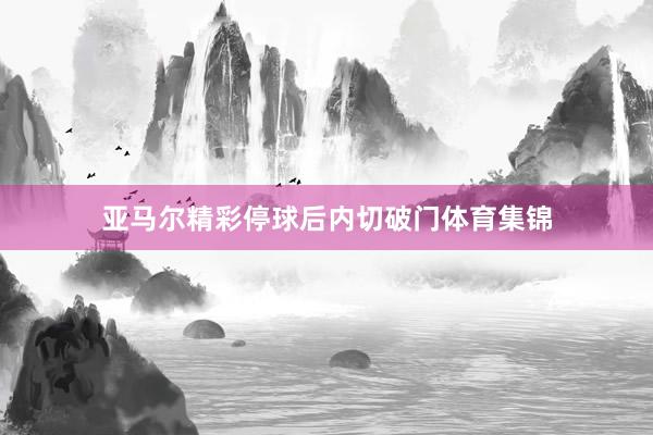 亚马尔精彩停球后内切破门体育集锦