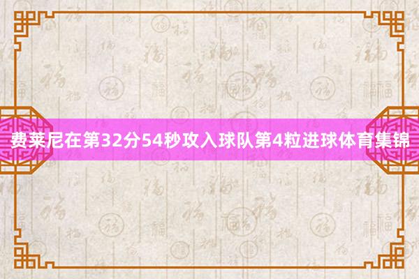 费莱尼在第32分54秒攻入球队第4粒进球体育集锦