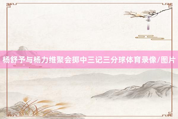 杨舒予与杨力维聚会掷中三记三分球体育录像/图片