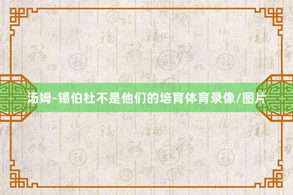 汤姆-锡伯杜不是他们的培育体育录像/图片