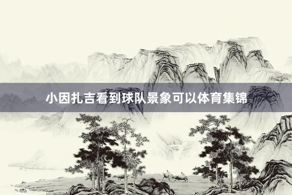 小因扎吉看到球队景象可以体育集锦