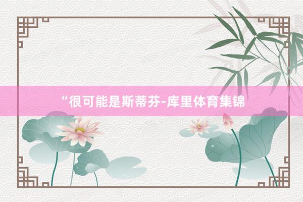“很可能是斯蒂芬-库里体育集锦