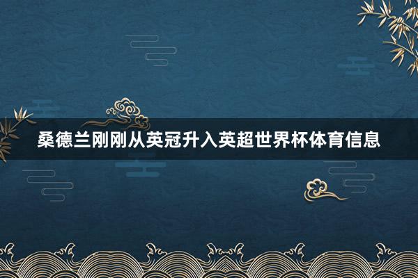 桑德兰刚刚从英冠升入英超世界杯体育信息