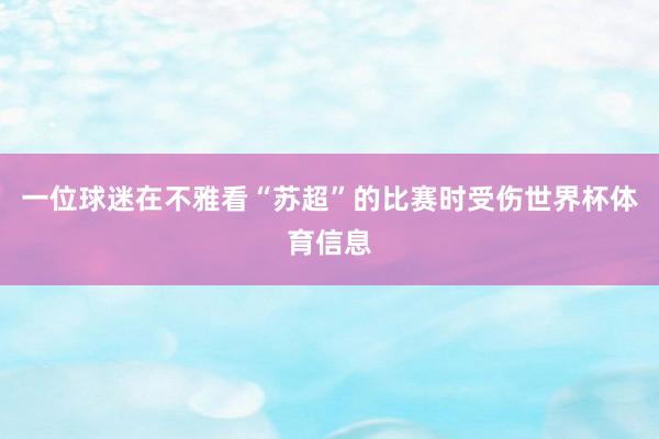 一位球迷在不雅看“苏超”的比赛时受伤世界杯体育信息