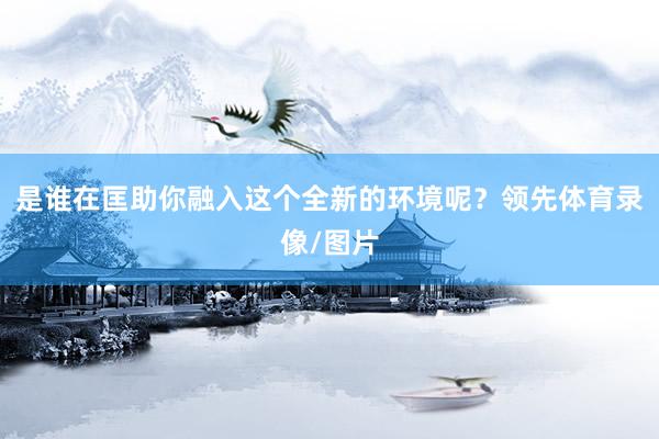 是谁在匡助你融入这个全新的环境呢?领先体育录像/图片