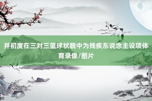并初度在三对三篮球状貌中为残疾东说念主设项体育录像/图片