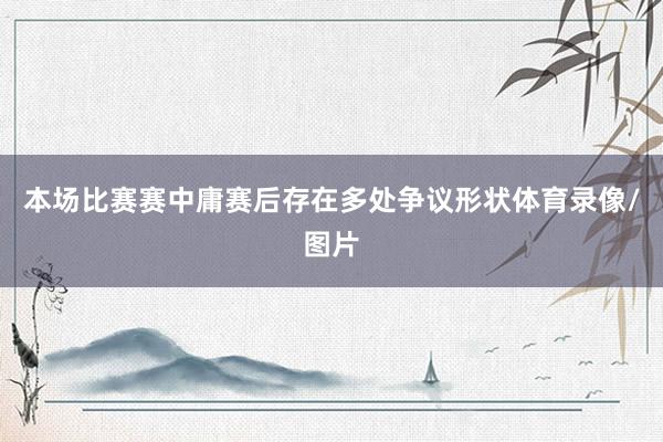 本场比赛赛中庸赛后存在多处争议形状体育录像/图片