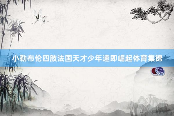 小勒布伦四肢法国天才少年速即崛起体育集锦