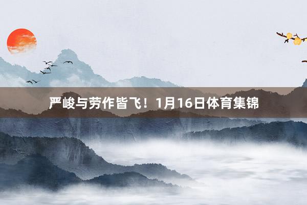 严峻与劳作皆飞！1月16日体育集锦