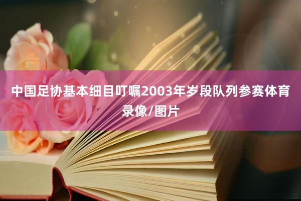 中国足协基本细目叮嘱2003年岁段队列参赛体育录像/图片