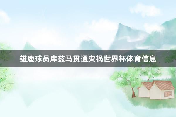 雄鹿球员库兹马贯通灾祸世界杯体育信息