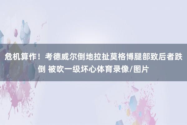 危机算作！考德威尔倒地拉扯莫格博腿部致后者跌倒 被吹一级坏心体育录像/图片