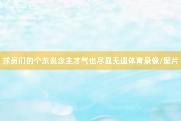 球员们的个东说念主才气也尽显无遗体育录像/图片