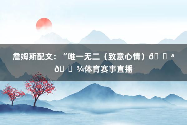 詹姆斯配文:“唯一无二(致意心情)💪🏾体育赛事直播