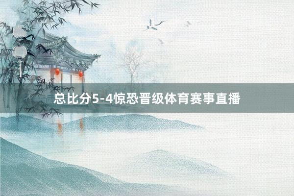 总比分5-4惊恐晋级体育赛事直播