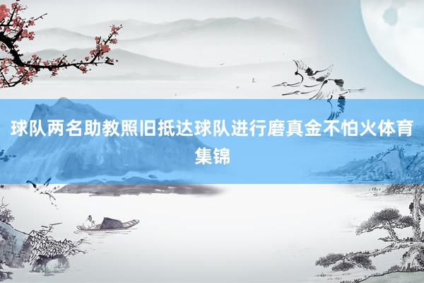 球队两名助教照旧抵达球队进行磨真金不怕火体育集锦