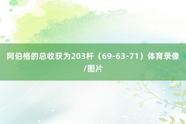 阿伯格的总收获为203杆（69-63-71）体育录像/图片