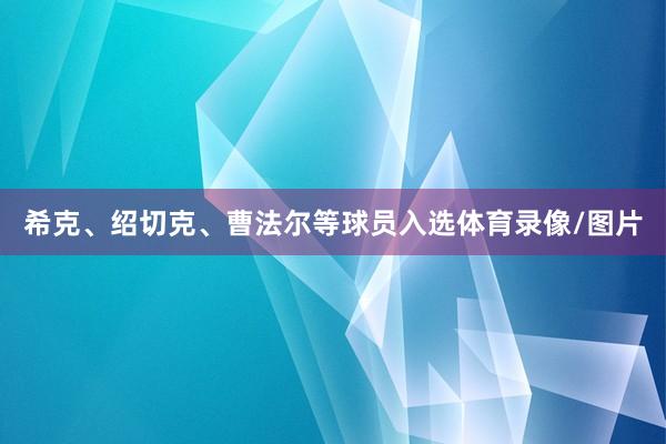 希克、绍切克、曹法尔等球员入选体育录像/图片