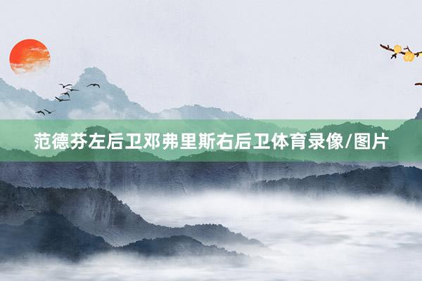 范德芬左后卫邓弗里斯右后卫体育录像/图片