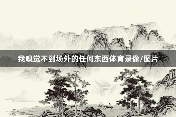 我嗅觉不到场外的任何东西体育录像/图片