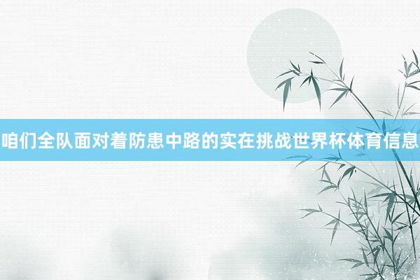 咱们全队面对着防患中路的实在挑战世界杯体育信息