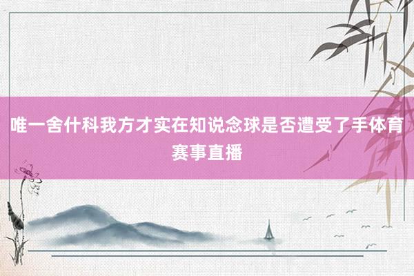 唯一舍什科我方才实在知说念球是否遭受了手体育赛事直播
