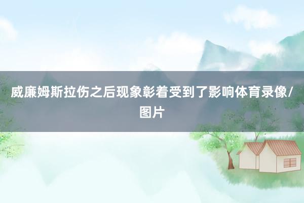 威廉姆斯拉伤之后现象彰着受到了影响体育录像/图片