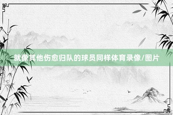 就像其他伤愈归队的球员同样体育录像/图片