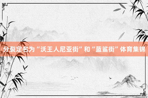 分裂定名为“沃王人尼亚街”和“蓝鲨街”体育集锦