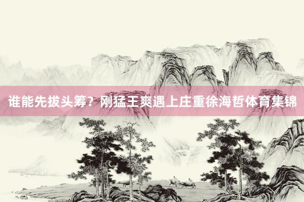 谁能先拔头筹？刚猛王爽遇上庄重徐海哲体育集锦
